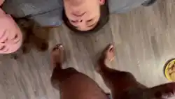 swingers