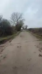 public-fucking