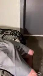 college-nsfw